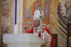 arcybiskup jędraszewski